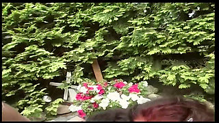 A Bitch in Front of My House