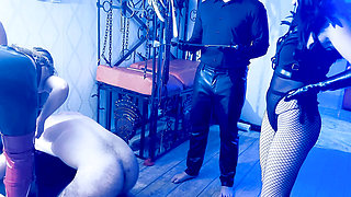 Ballbusting initialization - head in the toilet box - Zeida BDSM Queen of Transylvania