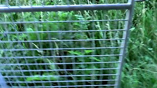 Busty Russian amateur teen fucks and sucks outdoor