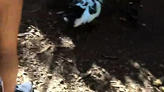 Gabbie Carter In Hawaii