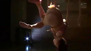 256-wguuhy-ouhsgy-poo-jbd