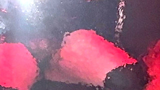 Part 1:- Marie gets taken into the vampire room to please her owners!