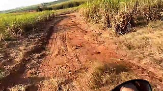 Naughty married lady meets gym mate, tears up in woods.