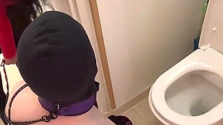 Head in the Toilet...