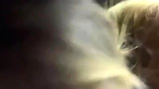Stefanie Knight Gets Fucked In The Car