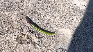Day at the Beach with 67 Goddess