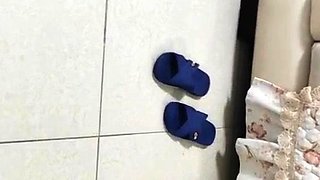 Amateur milf doing a blowjob ending in a facial