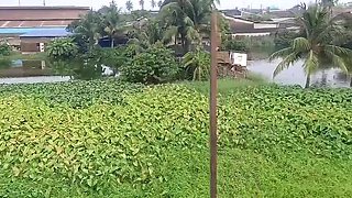 Homemade Hardcore Sex with Beautiful Indian Girl - Clear Hindi Audio & Big Ass Teen