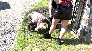 Piggy Humiliation in Mud, Playing with Nettles and Licking Our Feet Nice and Clean