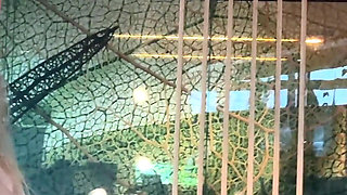 Gael & Pam Vlog: on the Way to Xbiz in Amsterdam