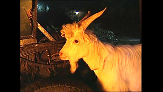 Hot Vintage Slut with Big Tits and Tight Pussy Ass Fucked and Cumshot in Mouth