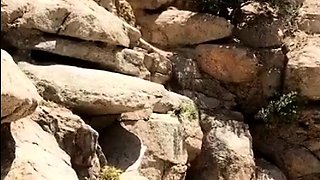 Amateur teen outdoor sex