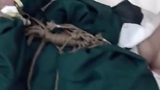 Binding Appreciation #11