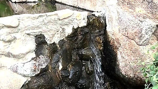 Secret Hot Springs Adventure with Adira