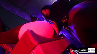 Sexual doxie's BDSM porn