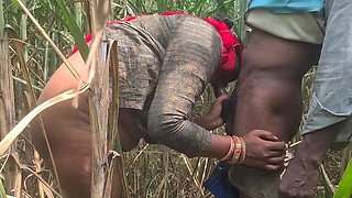 Desi Bhabhi Fucked Hard by Devar in Sugarcane Field - Indian Village Sex