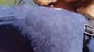 C4 sibel: Big Tits, Babe  Fansly Porn