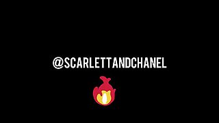 Scarlettandc Lesbian Office Mate Fucking Twice in Airbnb - Amateur Homemade Pussy Eating & Orgasm