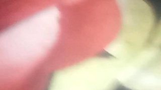 Bring on the Squirrels