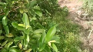 Desi- Friends Wife Holding And Squeezing Breasts In Guava Plantation