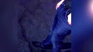 Cute brunette young hookup amateur teen blowjob