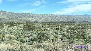 The Adventures of Lety Howl, Episode 12: Usa Road Trip