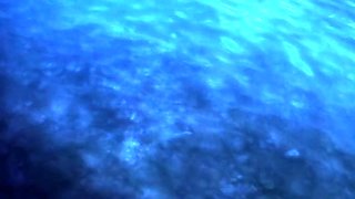 Private Passion of the Figure_20080701p0