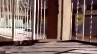 Raspberry Risky Public Masturbation On Rainy Day