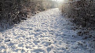 Topless Titslapping While Hiking Trough the Snow