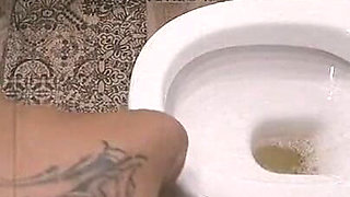 Convenient Toilet Cleaner