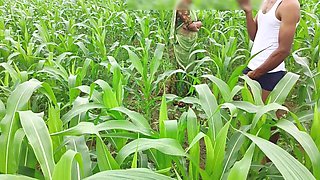 Bhabhi Ko Devar Ka Kala Mota Lund Aaya Lisand, Corn Field Me Bhabhi Ki Chudai Outdoor Hindi Audio