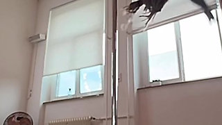 Do you like my dance for you ?