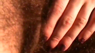 Fan Favorite Compilation