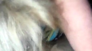 Single American Mom Loves Sucking Cock