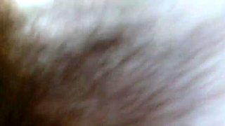 Busty Russian Angela Lady Ripped Pantyhose Solo Dildo Cumshot