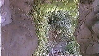 Amateur Black Hotel fuck and car Blowjob