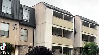 BBW Black and Ebony Hardcore