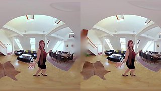 LP VR: Blowjob, Cowgirl  Missonary Porn