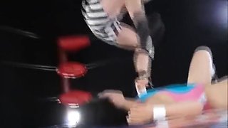 Japanese mixed wrestling