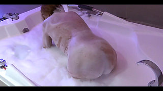 My Friend's Beautiful Wife Enjoys the Jacuzzi in the Motel Before Fucking Her, She Loves Cock