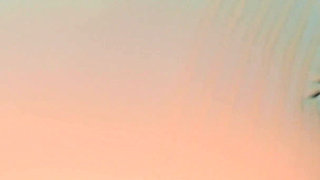 Doggy Pounding & Boobs Bouncing Compilation - Lilykoti