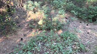 A MAN WHO WAS BORED OF HIS WIFE AT HOME LOOKED FOR A PLACE TO IN THE FOREST
