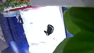 Japanese amateur Asian big boobs mother