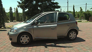 The busty and the bitch