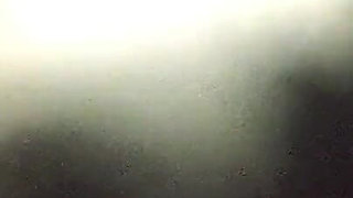 Sex in Car.