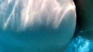 amateur lovebi flashing ass on live webcam