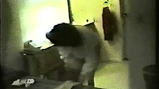 Sex hardcore blowjob brunette