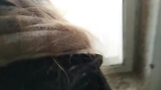 College Coed Fucked Hard at Campus Entrance - SweetAndFlow POV