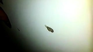 Glory Hole Suck and Swallow