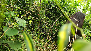 Malayali Couple Hot Outdoor Sex in Forest, Wild Forest Outdoor Sex of Malayali Couple